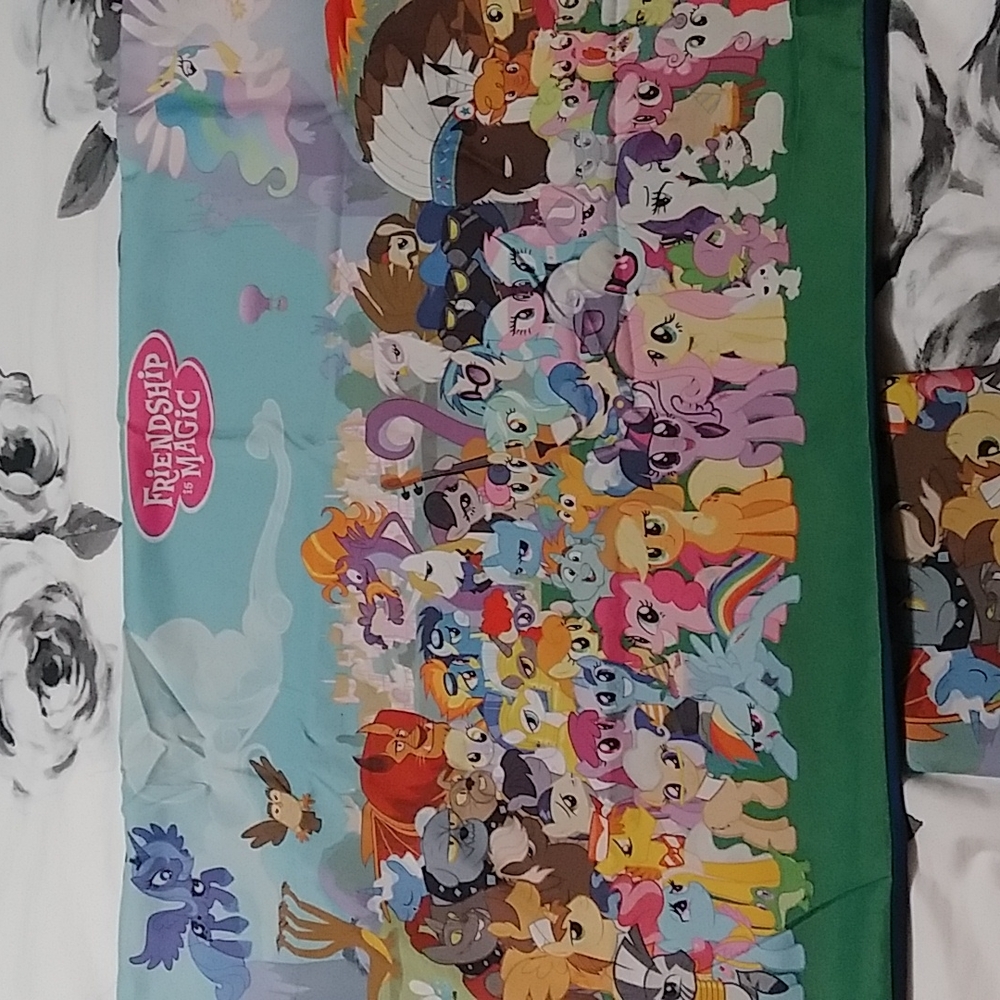 COPY - My Little Pony pillow case set